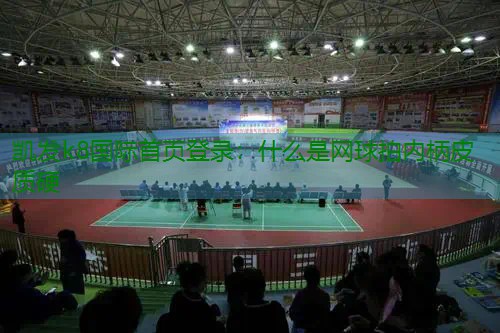 什么是网球拍内柄皮质硬