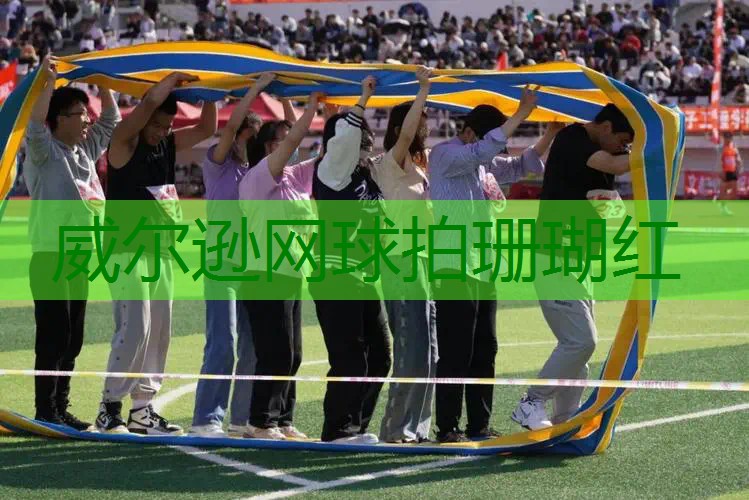 威尔逊网球拍珊瑚红