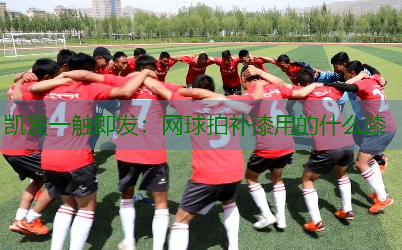 网球拍补漆用的什么漆