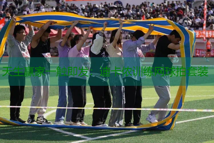 迪卡侬训练网球拍套装