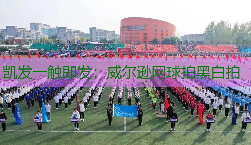 威尔逊网球拍黑白拍