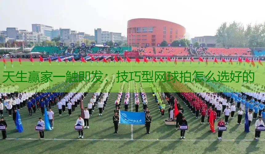 技巧型网球拍怎么选好的