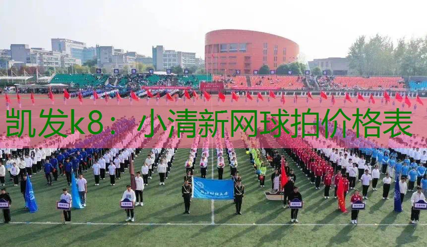 小清新网球拍价格表