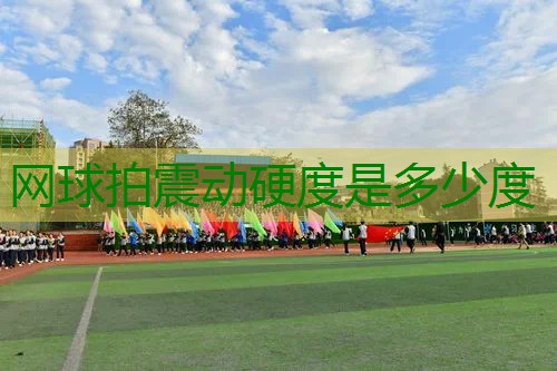 网球拍震动硬度是多少度