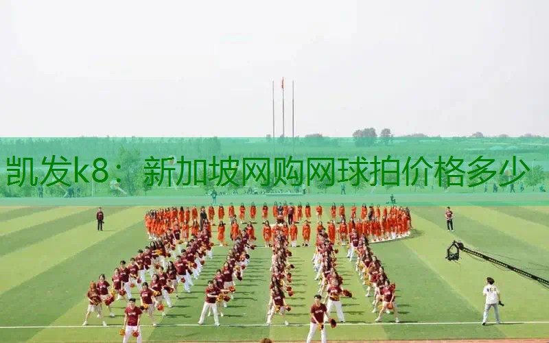 新加坡网购网球拍价格多少