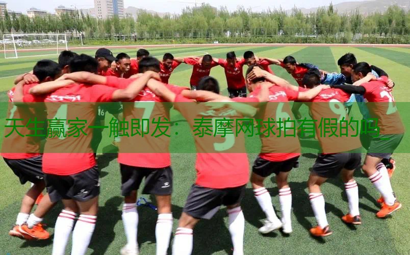 泰摩网球拍有假的吗_