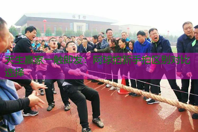 网球拍新手拍区别对比选择
