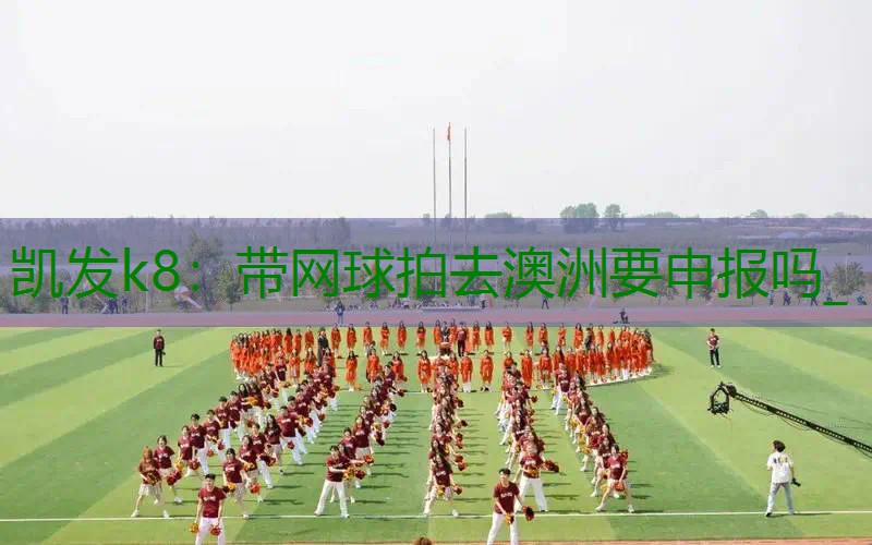 带网球拍去澳洲要申报吗_