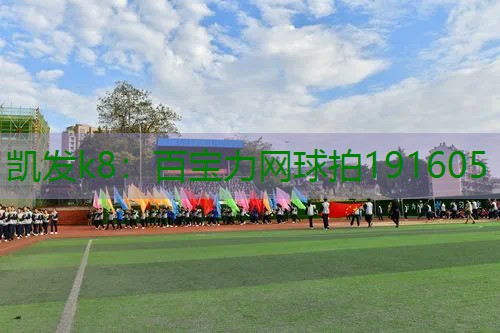 百宝力网球拍191605