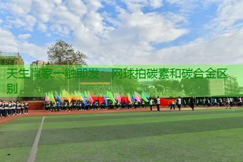 网球拍碳素和碳合金区别