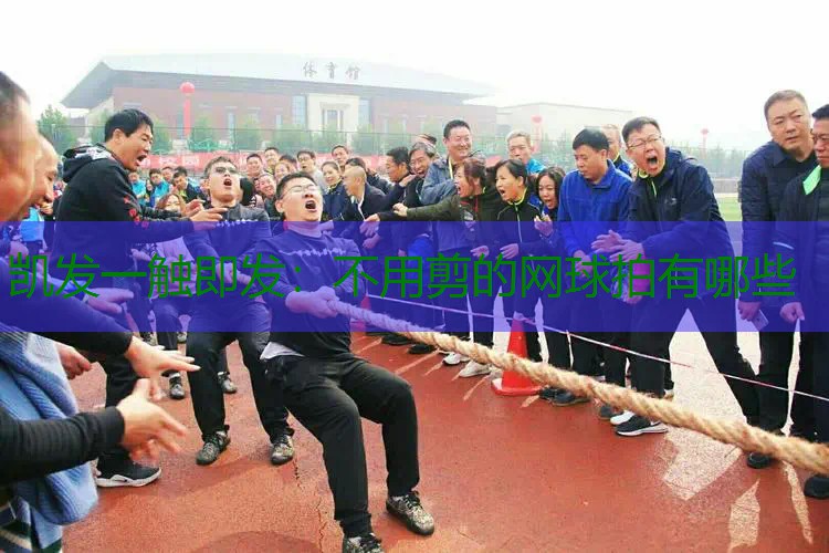 不用剪的网球拍有哪些