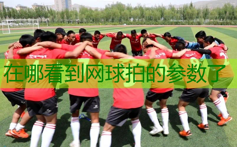 在哪看到网球拍的参数了