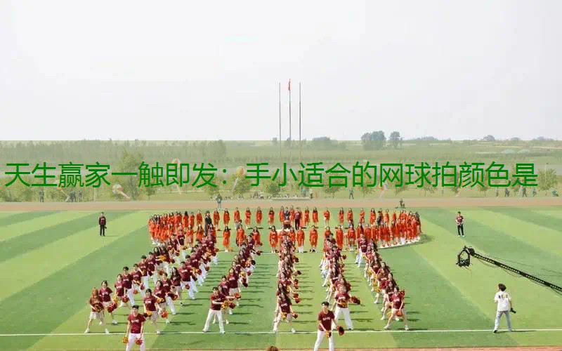 手小适合的网球拍颜色是