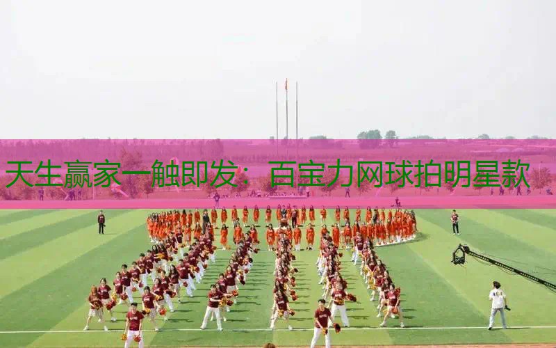百宝力网球拍明星款