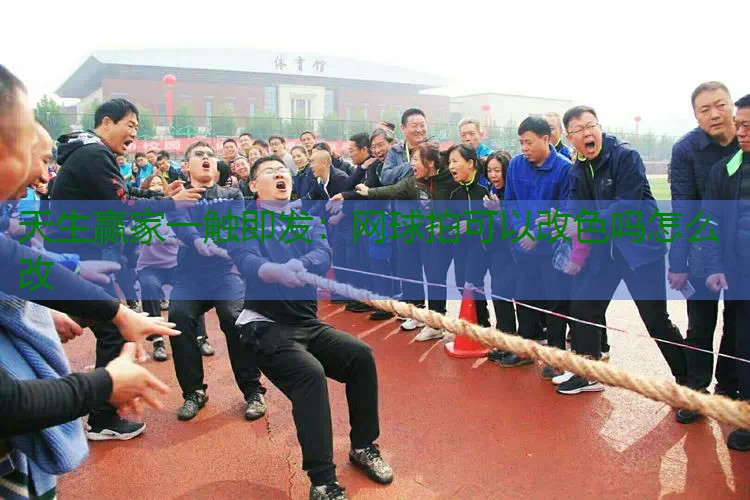 网球拍可以改色吗怎么改
