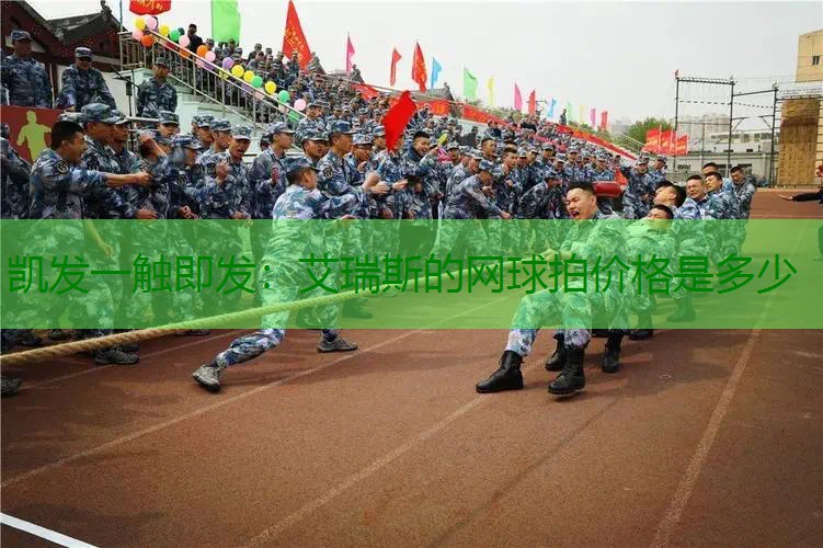 艾瑞斯的网球拍价格是多少