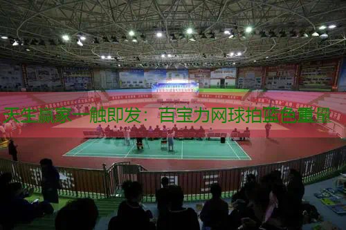 百宝力网球拍蓝色重量