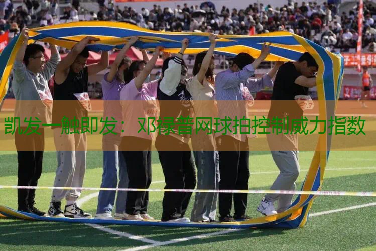 邓禄普网球拍控制威力指数