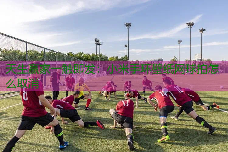 小米手环壁纸网球拍怎么取消