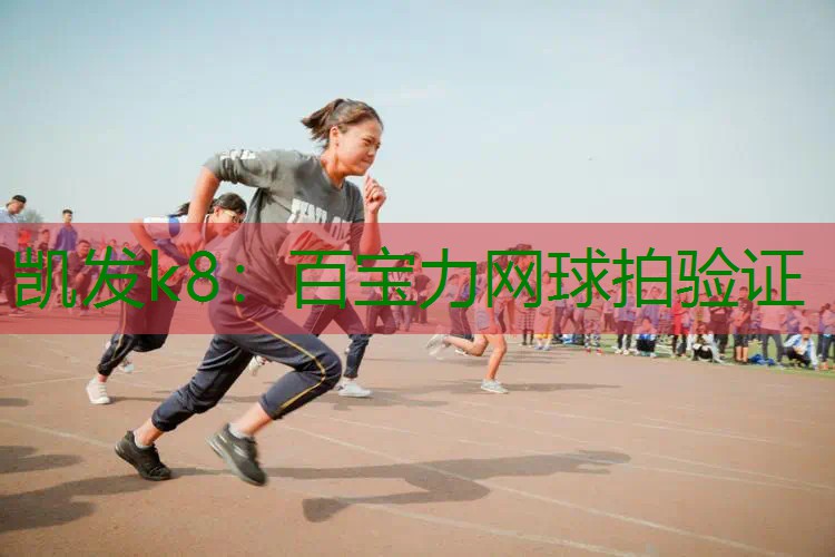 百宝力网球拍验证