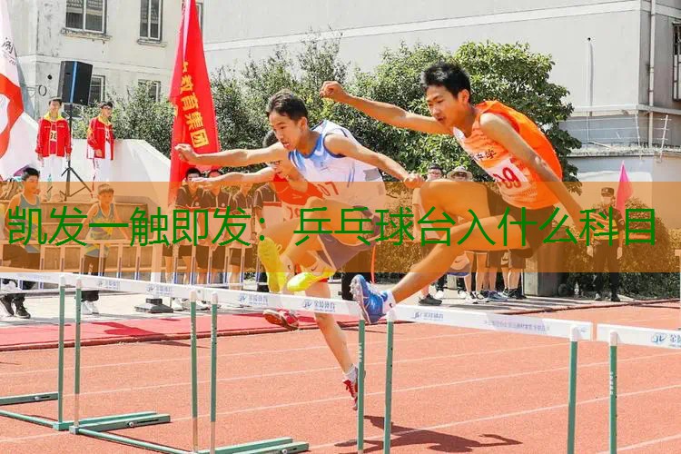 乒乓球台入什么科目