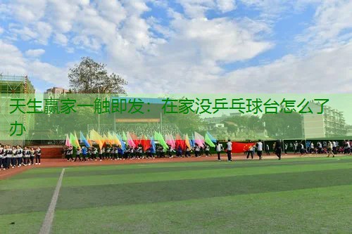 在家没乒乓球台怎么了办