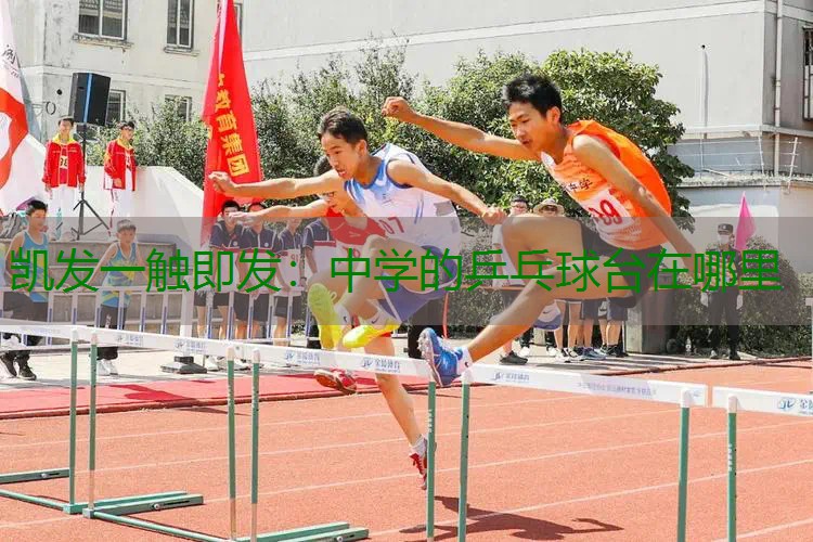 中学的乒乓球台在哪里