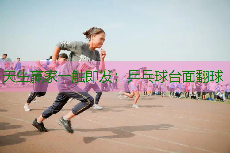 乒乓球台面翻球